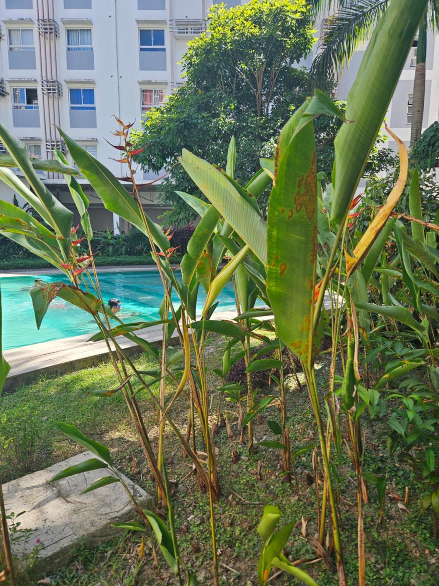 2-Bedroom Boutique City Condo - Newly Renovated! Cebu Exterior foto