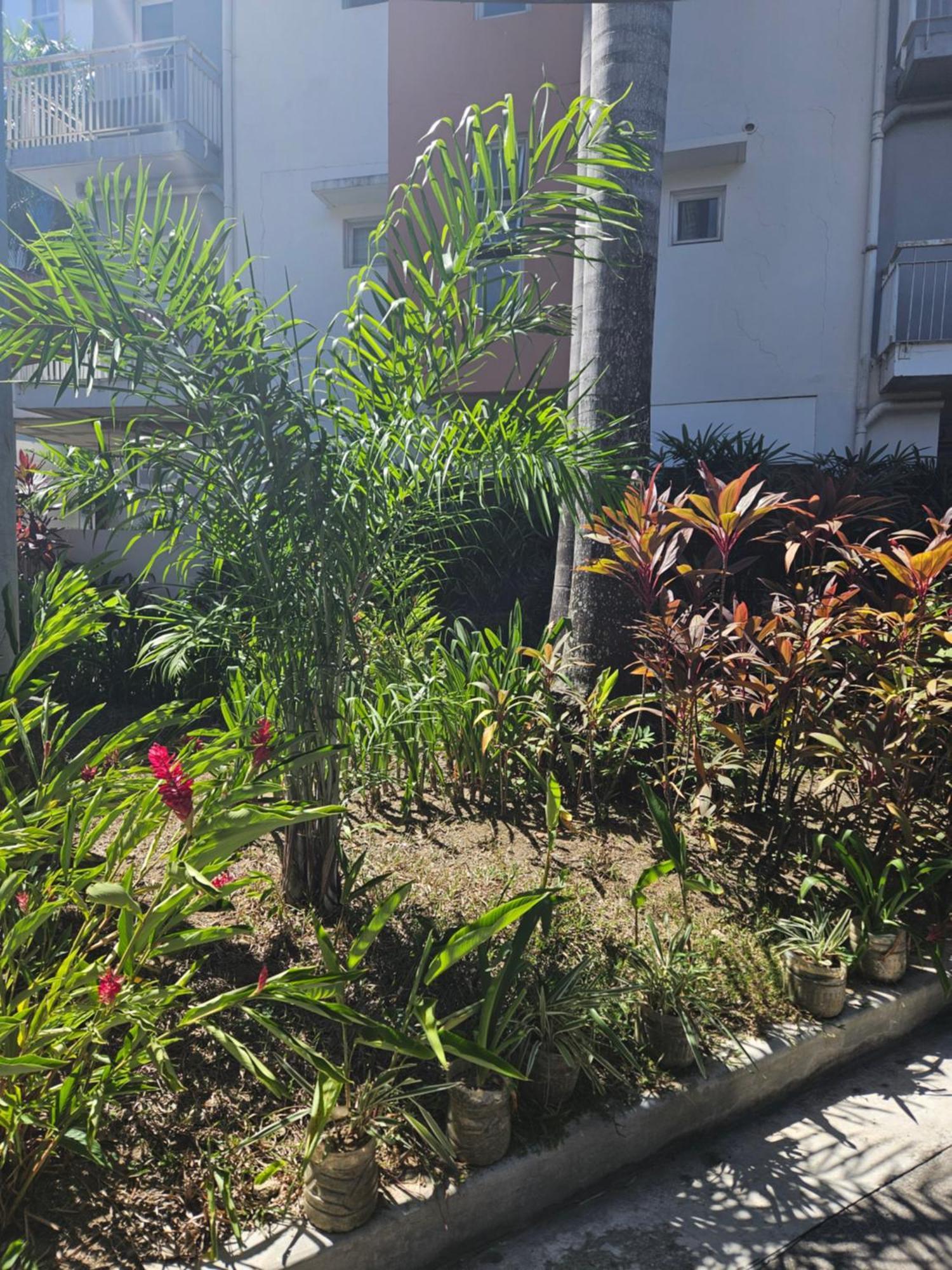 2-Bedroom Boutique City Condo - Newly Renovated! Cebu Exterior foto